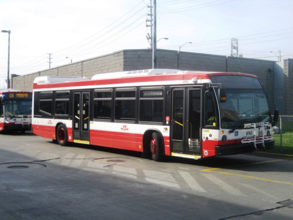 8763.JPG