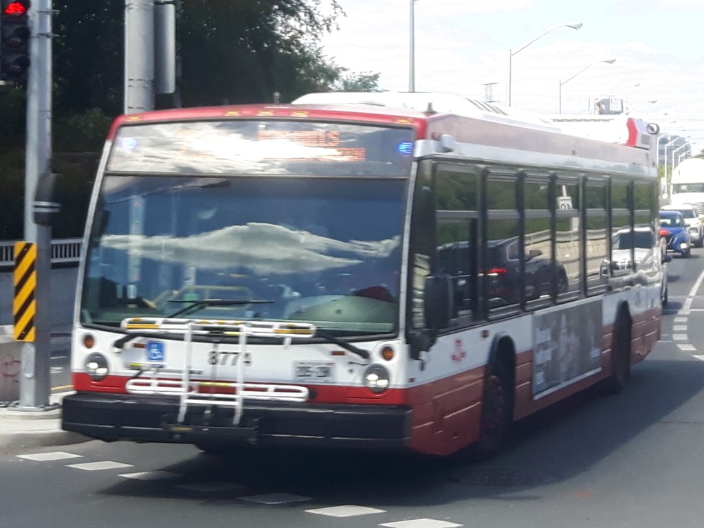 8774-1.jpg