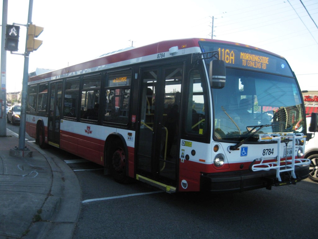 8784.JPG