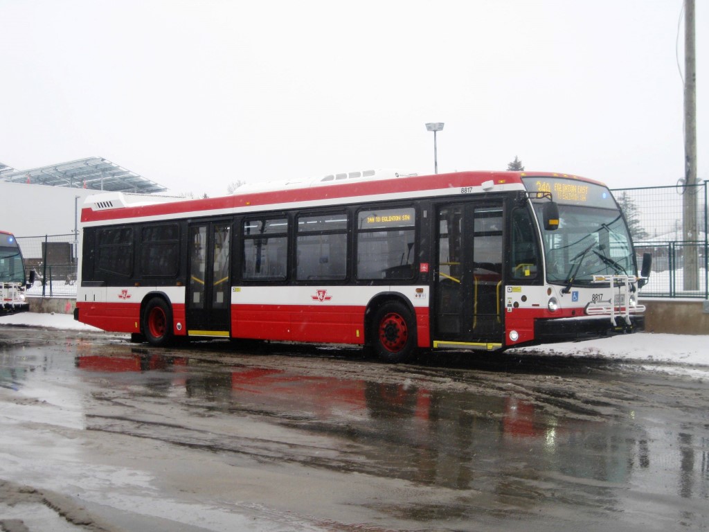 8817.JPG