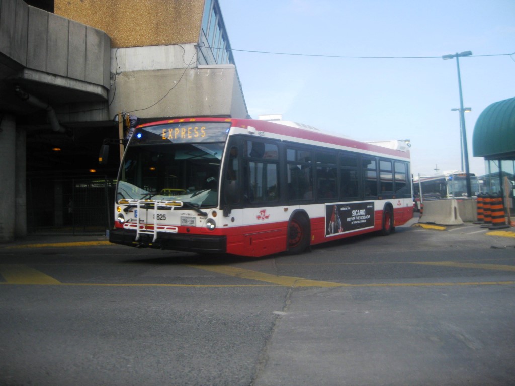 8825.JPG