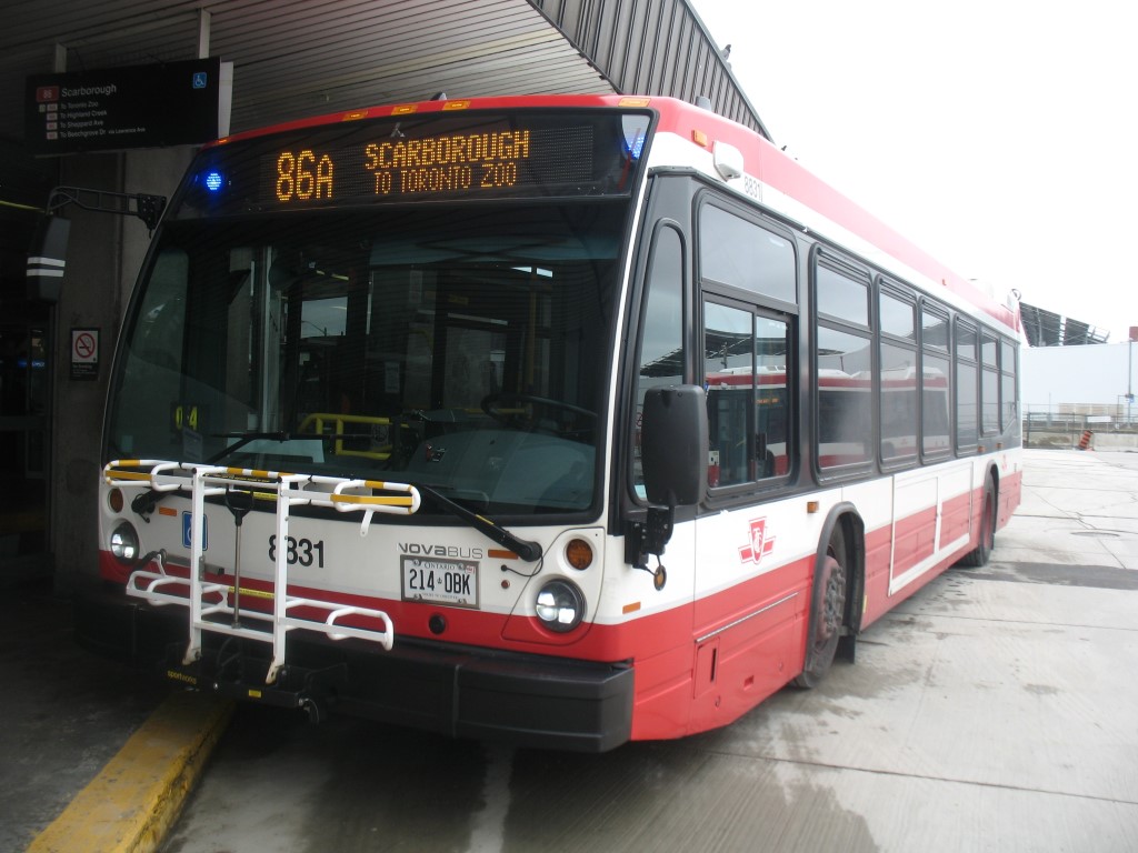 8831.JPG