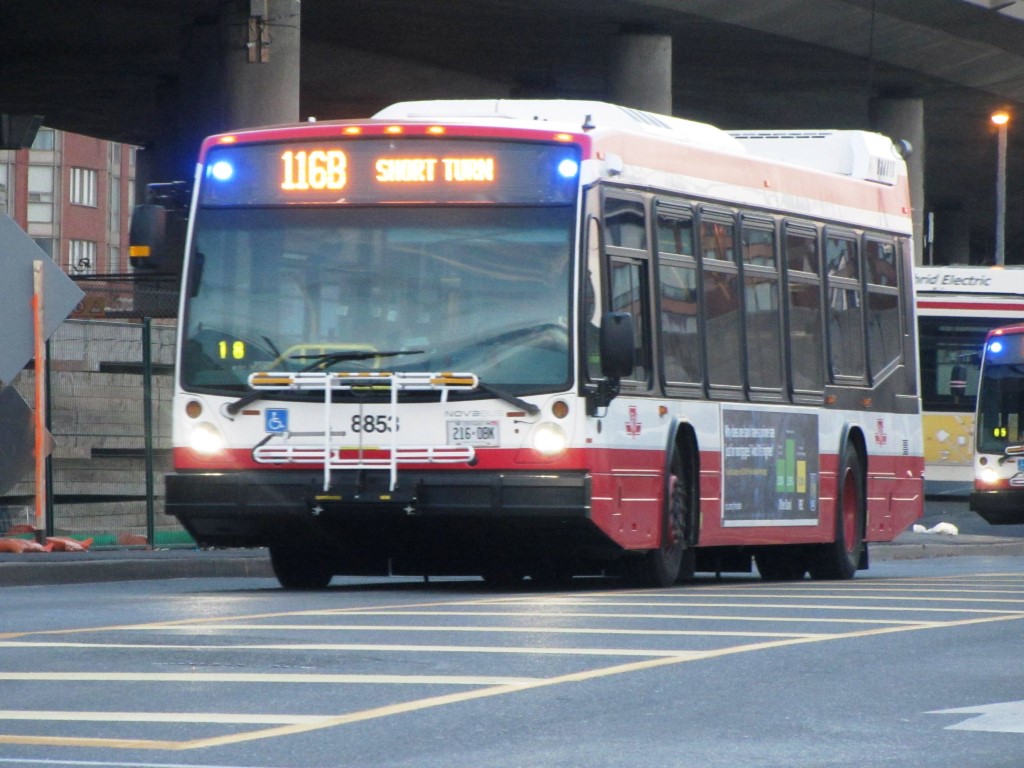8853.JPG