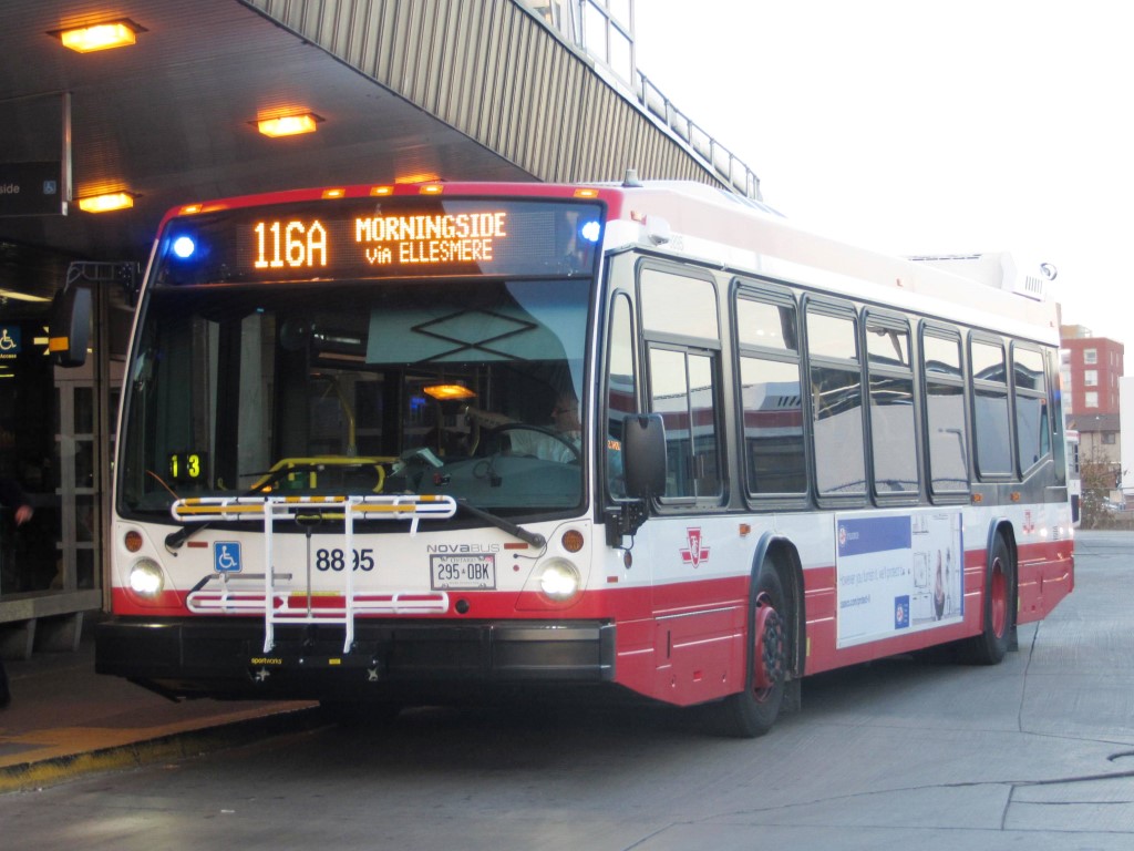 8895.JPG