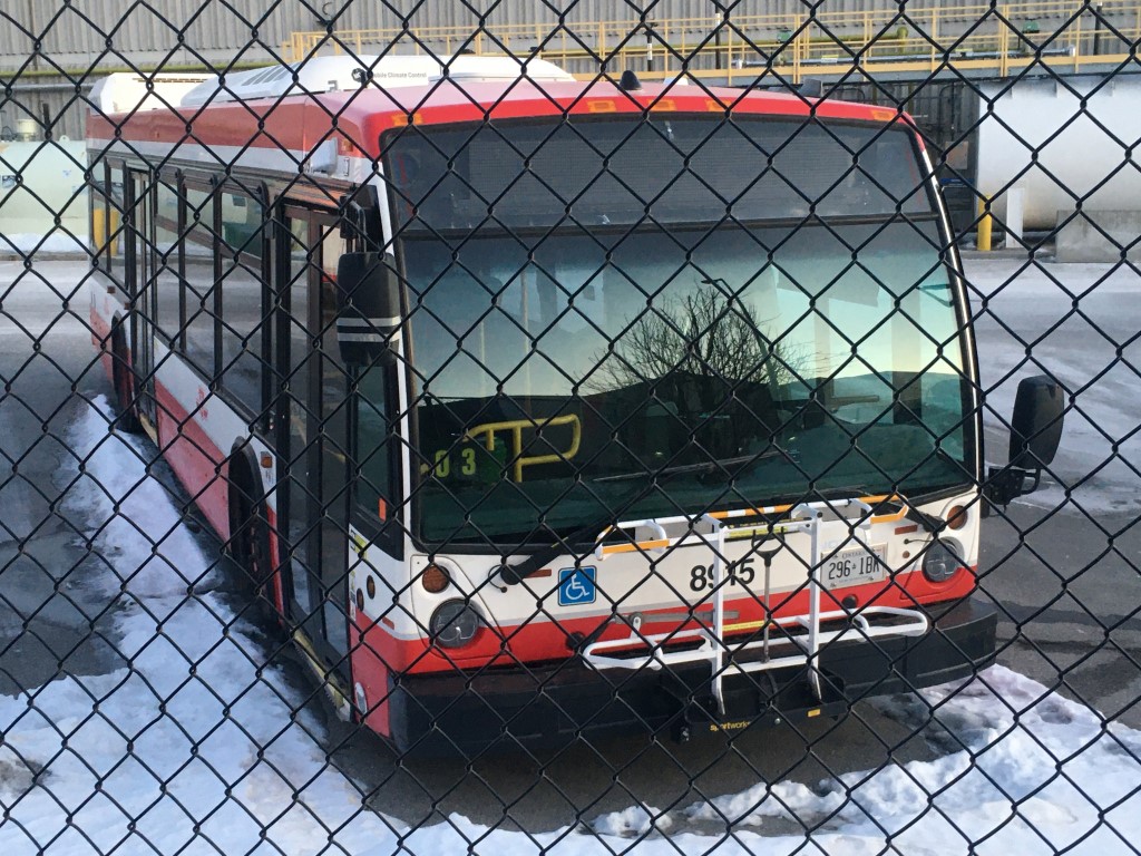 8915-2.JPG