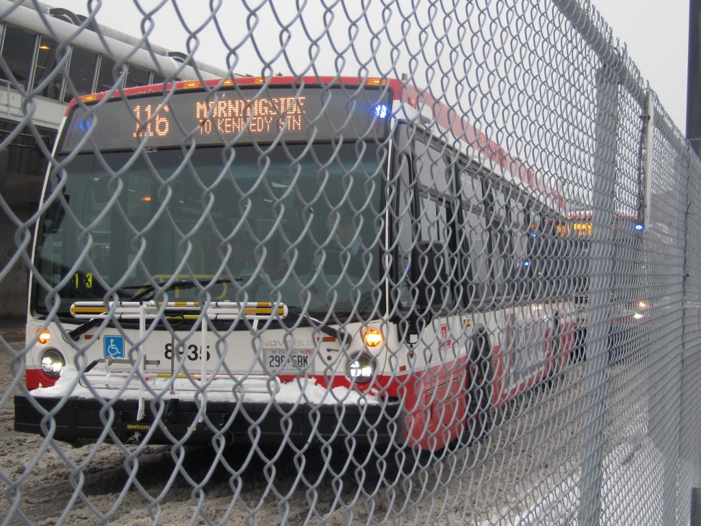 8935.JPG