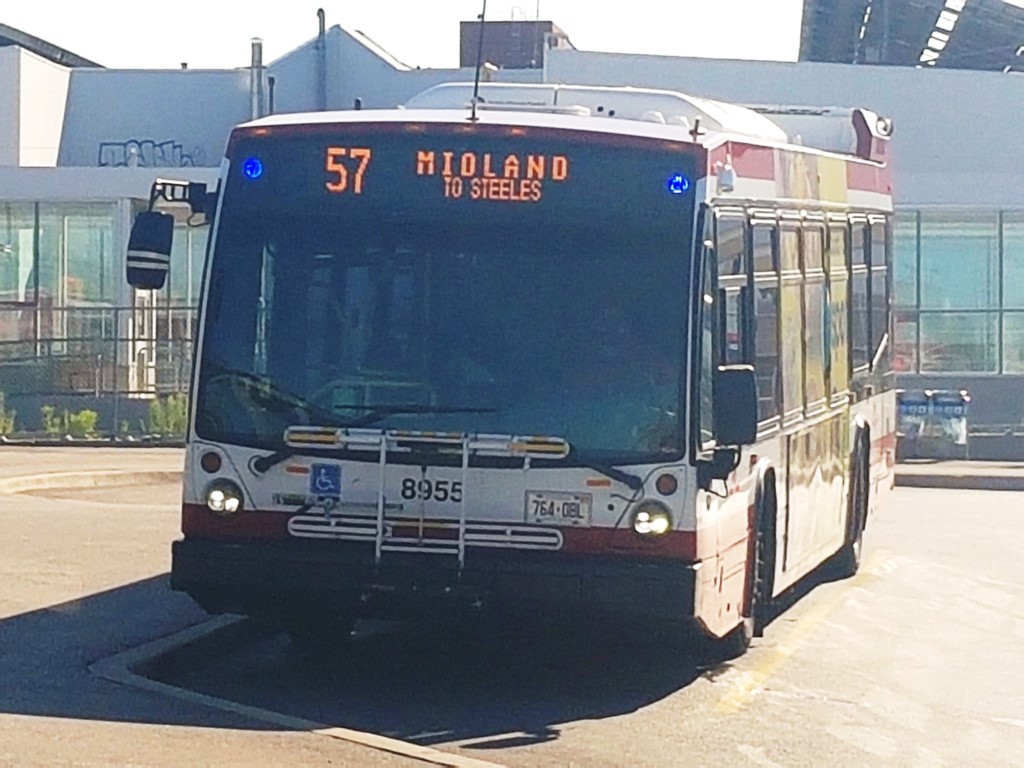 8955-4.jpg