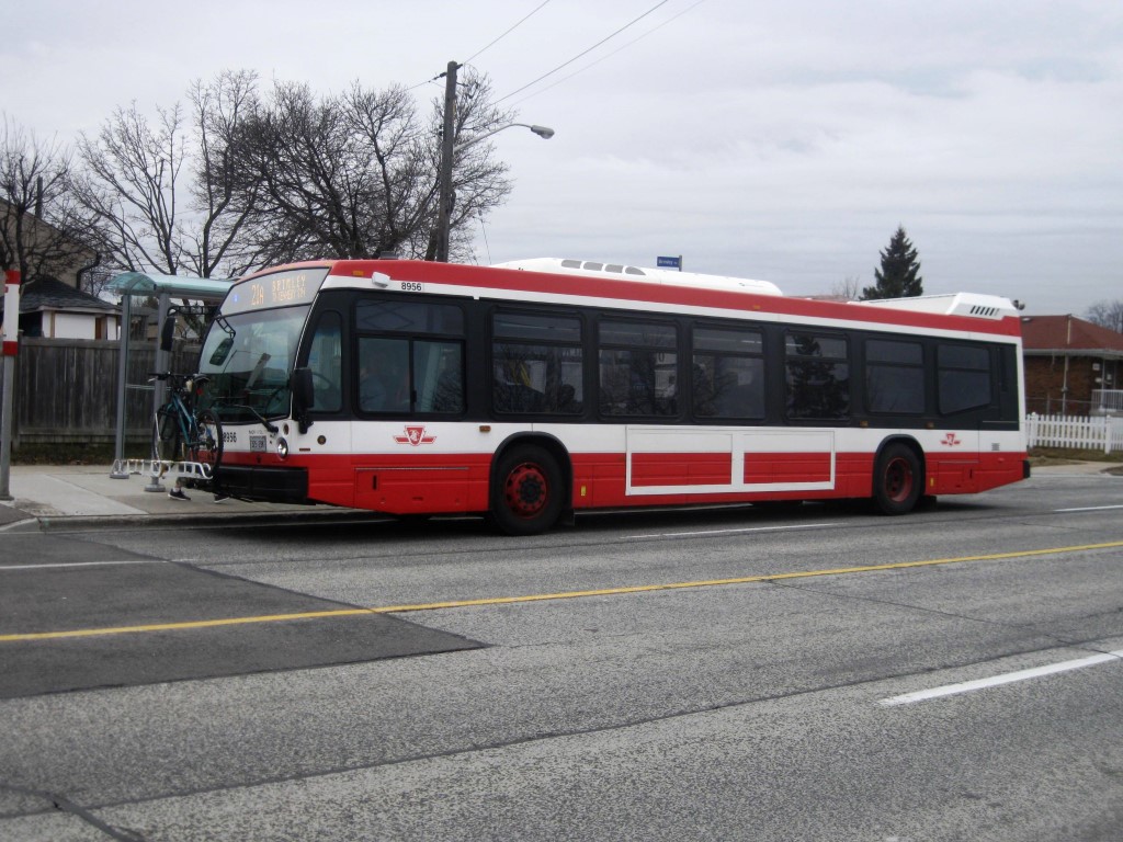 8956.JPG