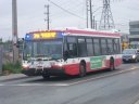 8734-1.JPG