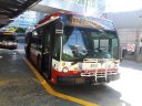 8741-2.jpg