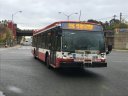 8742-3.JPG