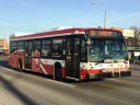 8743-1.JPG