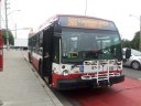 8745-2.jpg