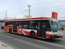 8747-1.JPG