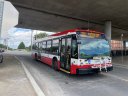 8747-2.JPG