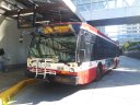 8753-4.jpg