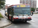 8753.JPG