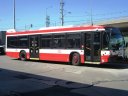 8754.JPG