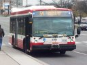 8766.JPG