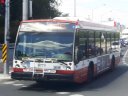 8774-1.jpg