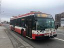 8774.JPG