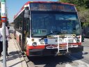8775-2.jpg