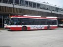 8775.JPG