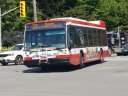 8782-1.jpg