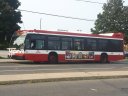 8782-2.jpg
