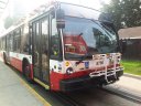 8786-3.jpg