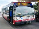 8794.JPG