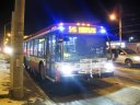 8801.JPG