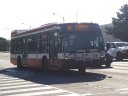 8808-1.jpg