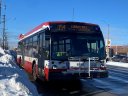 8810-2.jpg