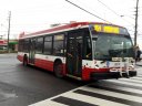 8811-2.jpg