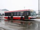 8817.JPG