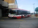 8825.JPG