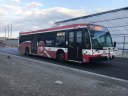 8830.JPG