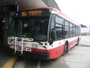 8831.JPG