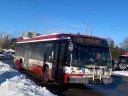 8904-1.jpg