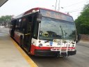 8905-1.jpg
