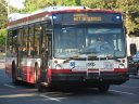 8905.JPG