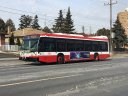 8912-1.JPG