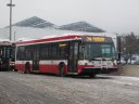 8912.JPG