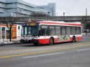 8913.JPG