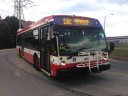 8915-1.JPG