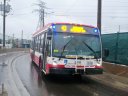 8918-1.JPG