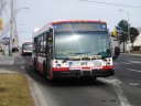8918.JPG