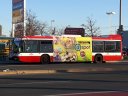 8955-3.jpg