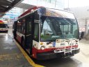 8956-1.jpg